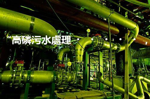 “高磷污水處理，環(huán)保先鋒，守護碧水藍天！”